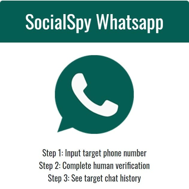 Social Spy WhatsApp 