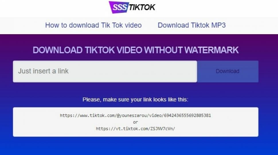Review SSStiktok Downloader